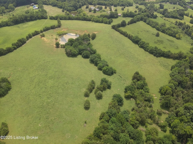 1462 Mobley Mill Rd, Coxs Creek, KY 40013 - photo 24