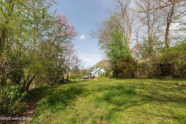 1157 Old Bell High Rd, Pineville, KY 40977 - photo 3