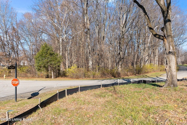 4 River Glades Dr, Prospect, KY 40059 - photo 4