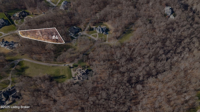 4 River Glades Dr, Prospect, KY 40059 - photo 6