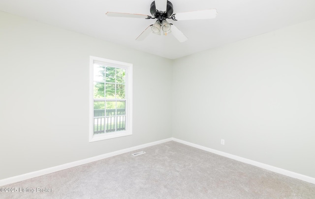 905 Trout Ln, Shelbyville, KY 40065 - photo 38