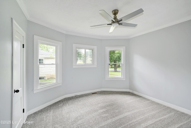 2224 Beargrass Ave, Louisville, KY 40218 - photo 14