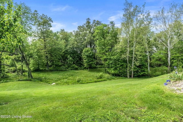 302 S Zoar Church Rd, Madison, IN 47250 - photo 42