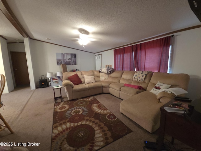 52 S Lakeside Rd, Falls Of Rough, KY 40119 - photo 8