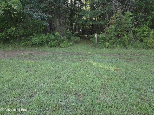 52 S Lakeside Rd, Falls Of Rough, KY 40119 - photo 32