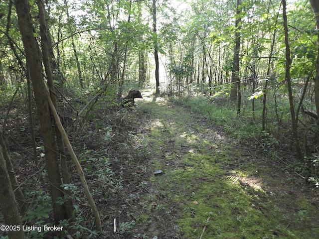 52 S Lakeside Rd, Falls Of Rough, KY 40119 - photo 33
