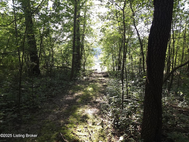 52 S Lakeside Rd, Falls Of Rough, KY 40119 - photo 34