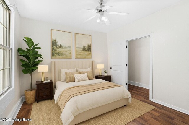 823 S Jackson St, Louisville, KY 40203 - photo 13