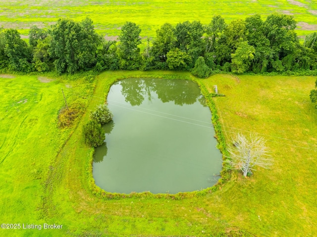 2550 Nelsonville, Boston, KY 40107 - photo 37