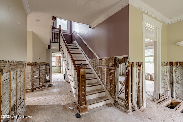 2550 Nelsonville, Boston, KY 40107 - photo 19