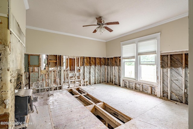 2550 Nelsonville, Boston, KY 40107 - photo 36