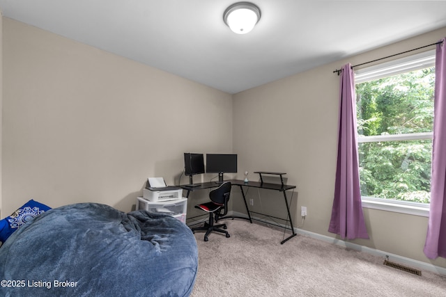 6408 Colome Dr, Louisville, KY 40291 - photo 14