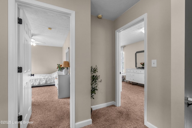 6041/2 Malcolm Ave, Louisville, KY 40223 - photo 14
