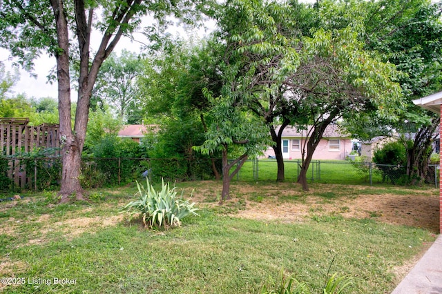 5109 Rookwood Ave, Louisville, KY 40218 - photo 24