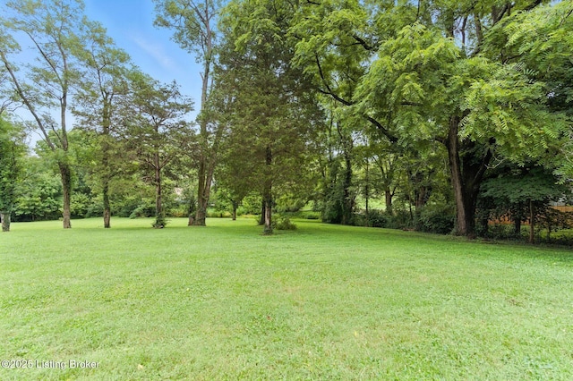 331 Central Ave, Pewee Valley, KY 40056 - photo 48