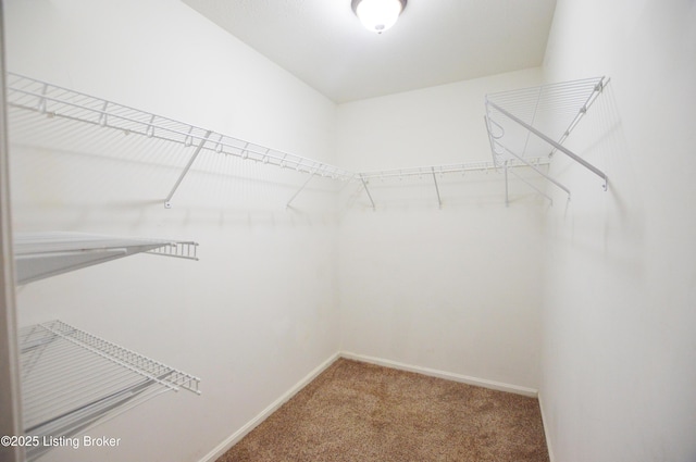 806 Lafontenay Ct, Louisville, KY 40223 - photo 11