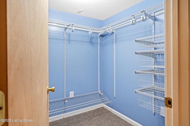 5517 Landcross Dr, Louisville, KY 40216 - photo 26