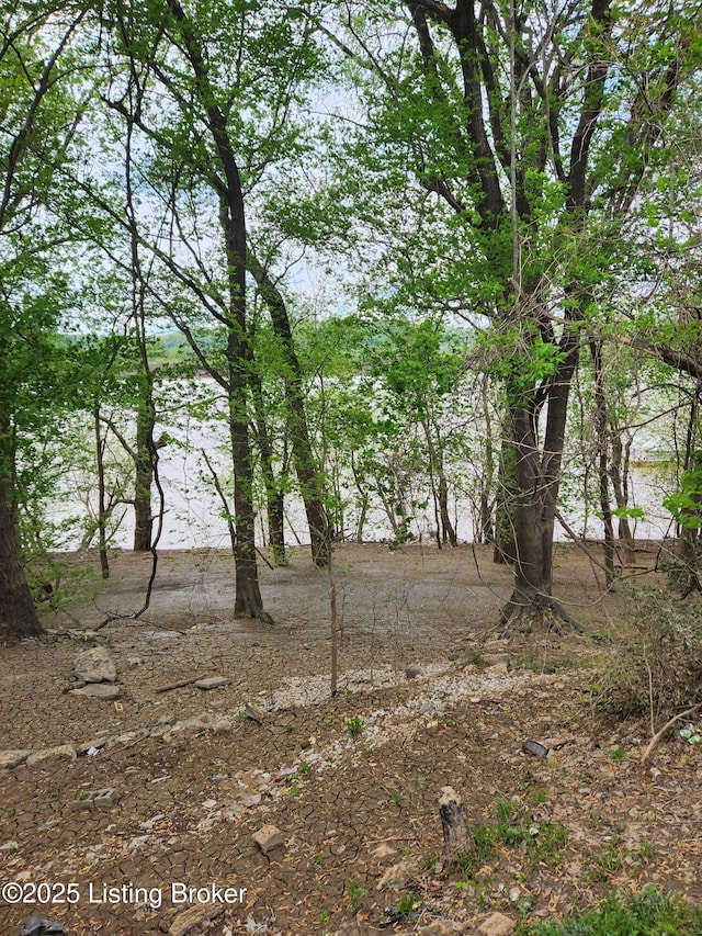 15520 Dixie Hwy, Louisville, KY 40272 - photo 37