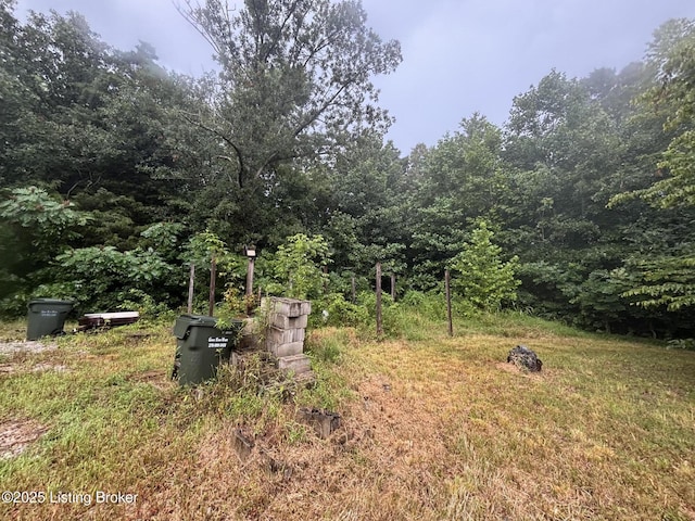 2241 Brooklyn Rd, Morgantown, KY 42261 - photo 20
