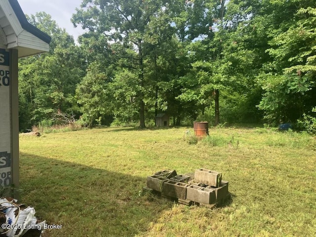 2241 Brooklyn Rd, Morgantown, KY 42261 - photo 19