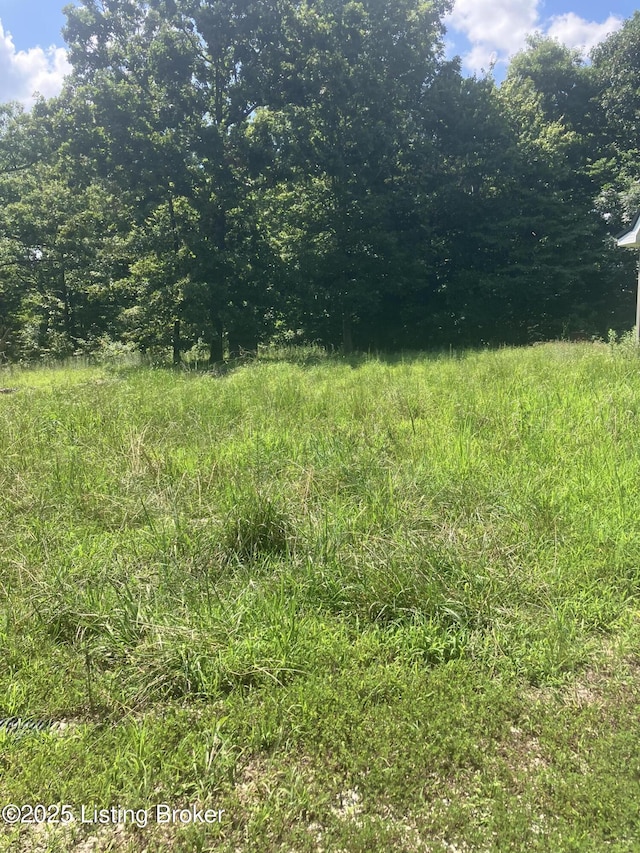 2241 Brooklyn Rd, Morgantown, KY 42261 - photo 18