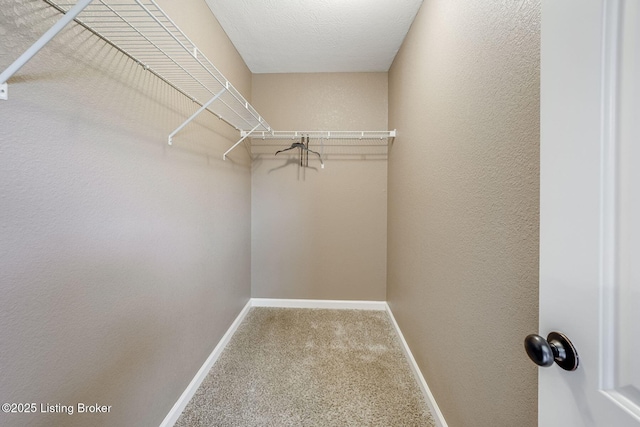 11203 Pebble Trce, Louisville, KY 40229 - photo 13