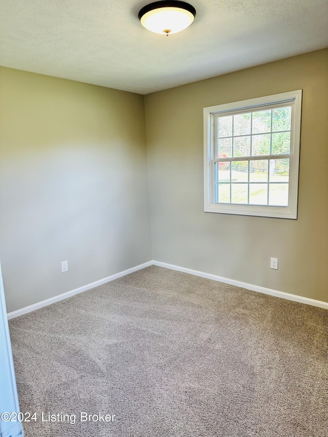 8709 Lakeridge Dr, Louisville, KY 40272 - photo 22