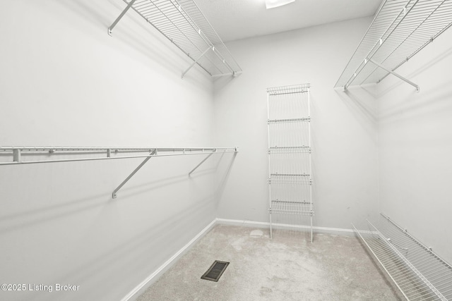 10622 Black Iron Rd, Louisville, KY 40291 - photo 20