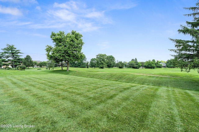 10622 Black Iron Rd, Louisville, KY 40291 - photo 40