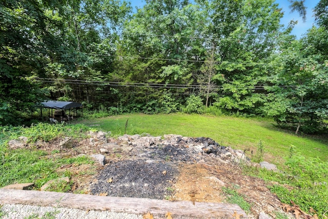 2381 Ridge Crest Drive Ne, Lanesville, IN 47136 - photo 36