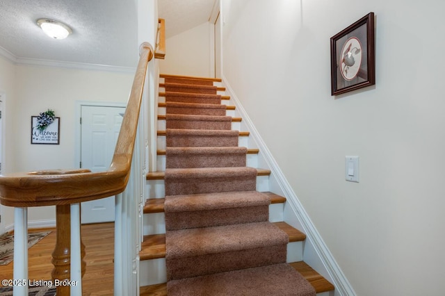 55 Ireland School Rd, Radcliff, KY 40160 - photo 28