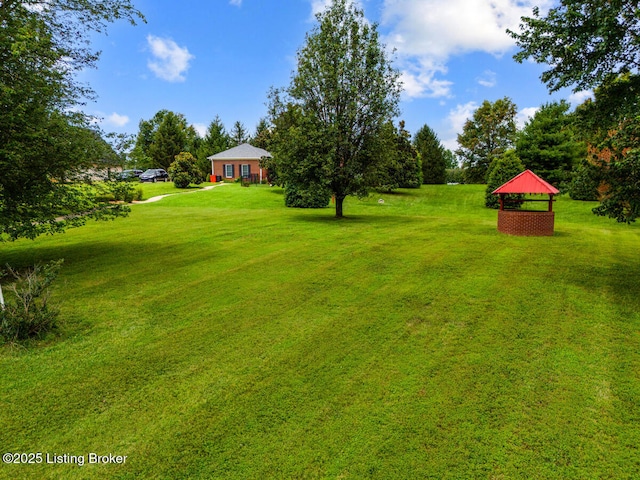 55 Ireland School Rd, Radcliff, KY 40160 - photo 57