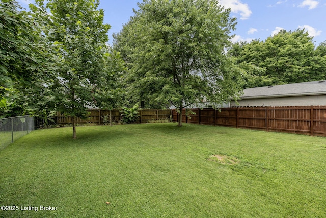 3016 Bobolink Rd, Louisville, KY 40217 - photo 38