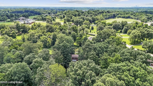 3028 Shadybrook Ln, New Albany, IN 47150 - photo 47