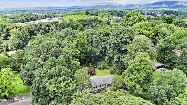 3028 Shadybrook Ln, New Albany, IN 47150 - photo 46