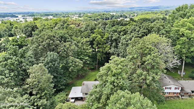 3028 Shadybrook Ln, New Albany, IN 47150 - photo 45