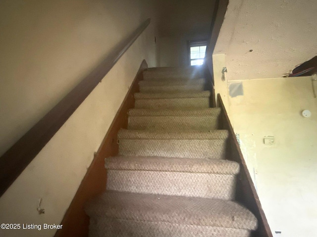 228 W 2nd St, Hardinsburg, KY 40143 - photo 5