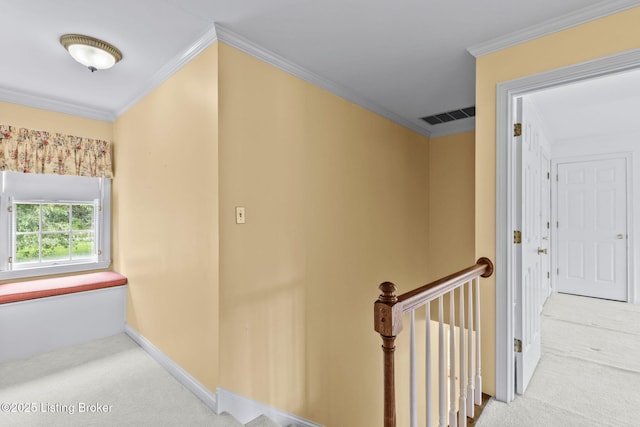 111 Creel Ln, Bardstown, KY 40004 - photo 24