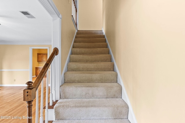 111 Creel Ln, Bardstown, KY 40004 - photo 23