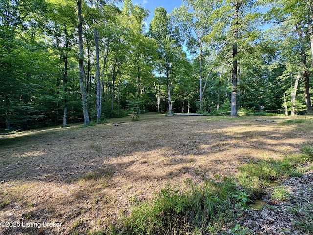 1193 Patriots Landing Ln, Falls Of Rough, KY 40119 - photo 2