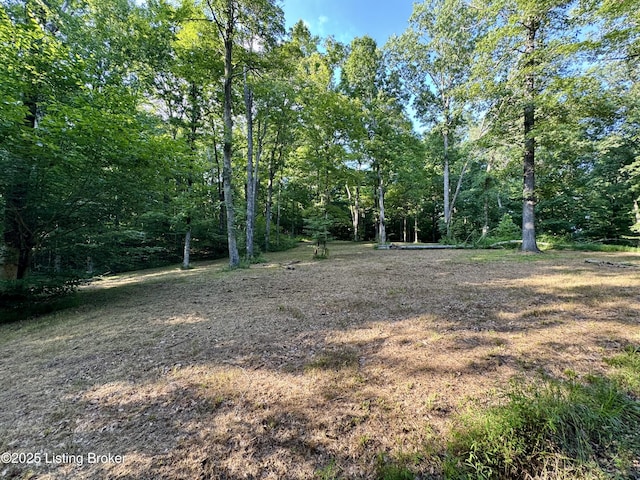 1193 Patriots Landing Ln, Falls Of Rough, KY 40119 - photo 3