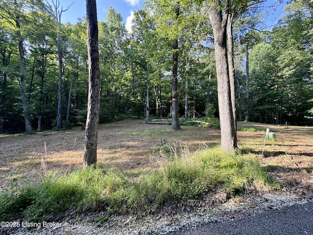 1193 Patriots Landing Ln, Falls Of Rough, KY 40119 - photo 4