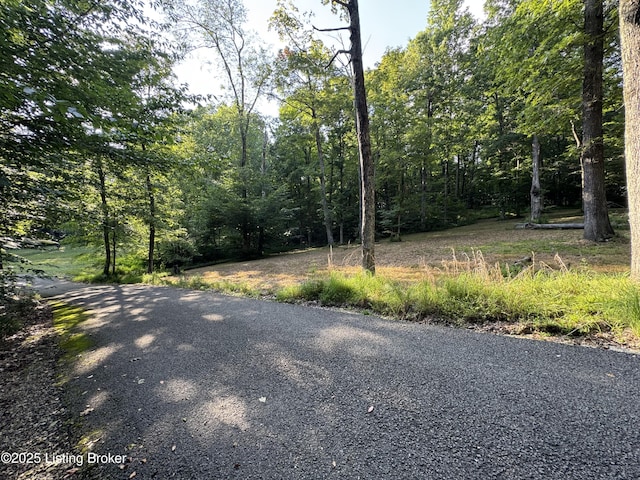 1193 Patriots Landing Ln, Falls Of Rough, KY 40119 - photo 6