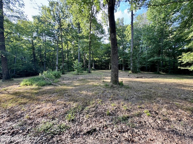 1193 Patriots Landing Ln, Falls Of Rough, KY 40119 - photo 5