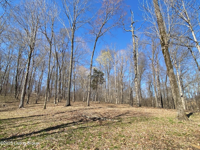 1193 Patriots Landing Ln, Falls Of Rough, KY 40119 - photo 8