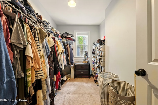 228 E Magnolia Ave, Louisville, KY 40208 - photo 27
