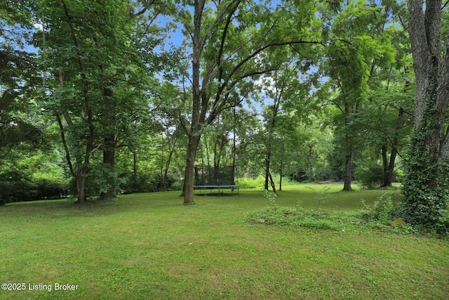 3218 Broeck Pointe Cir, Louisville, KY 40241 - photo 57
