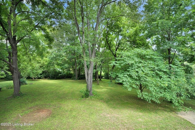 3218 Broeck Pointe Cir, Louisville, KY 40241 - photo 58