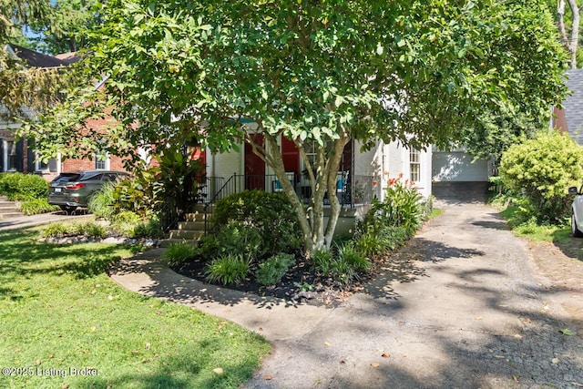 1713 Trevilian Way, Louisville, KY 40205 - photo 41