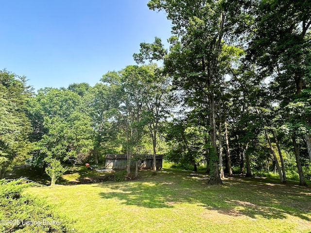 181 Pendleton Ave, Bedford, KY 40006 - photo 36